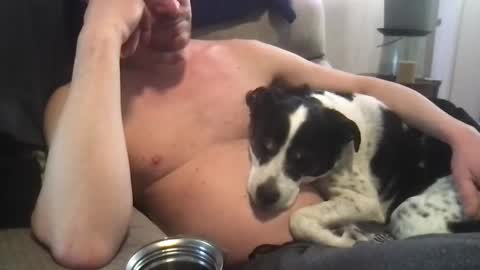 Snapshot of abe_froman2007 chatting on 03-08-25, 10:13 abe_froman2007 online show from 03-08-25, 10:13