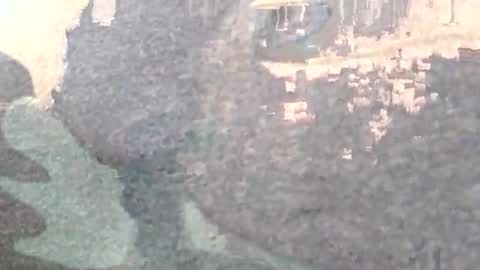 Masturbating boy online show from 01-17-25, 02:08