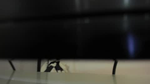 Abril 777 online show from 02-22-26, 07:56