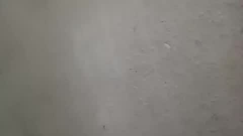 absltorres8 online show from 07-14-26, 07:57
