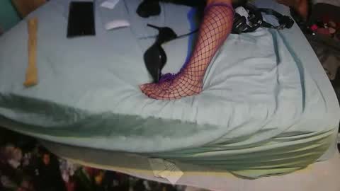 aCACiAs2022 online show from 05-02-26, 03:55