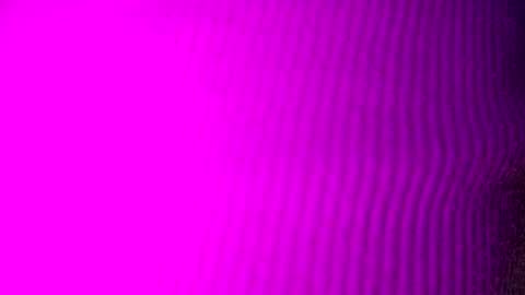 Snapshot of adamllamas chatting on 09-15-25, 04:56 adamllamas online show from 09-15-25, 04:56