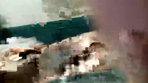 Snapshot of adrodiarellano chatting on 10-13-25, 02:22 adrodiarellano online show from 10-13-25, 02:22