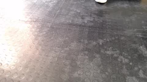  Miss Agata  online show from 12-16-25, 06:57