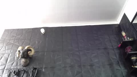 Snapshot of agata_darkness chatting on 05-25-26, 03:29 Miss Agata online show from 05-25-26, 03:29