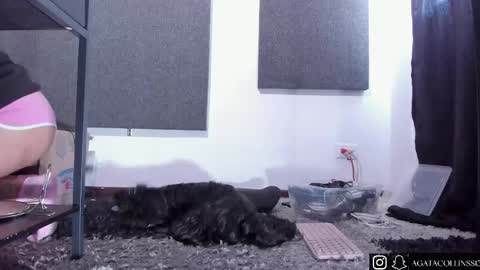 Agata Collinss online show from 04-14-26, 05:08