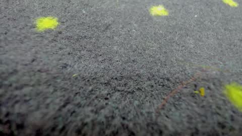 Aisha online show from 03-21-26, 08:19