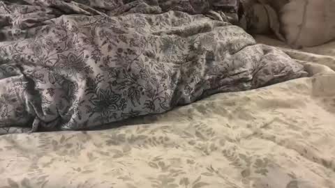 aj86cam online show from 01-10-26, 02:02