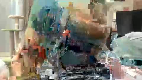 Akira Zay online show from 03-01-26, 07:54