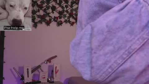 Alaia online show from 12-05-25, 02:42