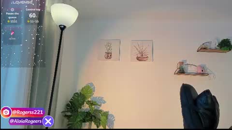   online show from 07-25-26, 11:41