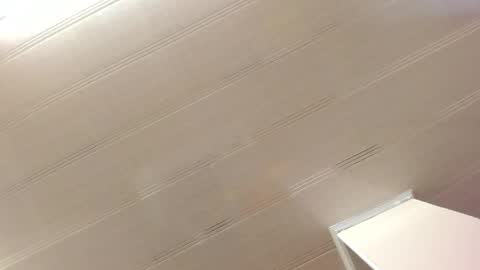 Maeve  online show from 12-28-24, 11:09