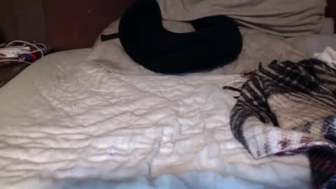 Snapshot of albertalbert9 chatting on 12-13-24, 07:25 albertalbert9 online show from 12-13-24, 07:25