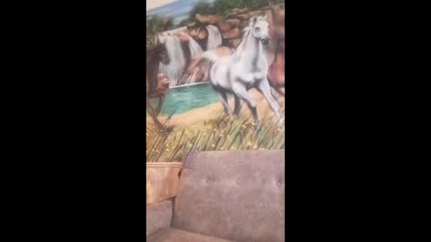 albina online show from 02-24-26, 08:23