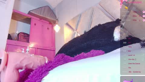 alejandra martins online show from 01-12-25, 07:21