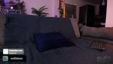 Alex Wolf online show from 01-16-25, 02:41