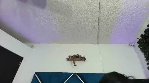 Alexa online show from 06-13-26, 12:19