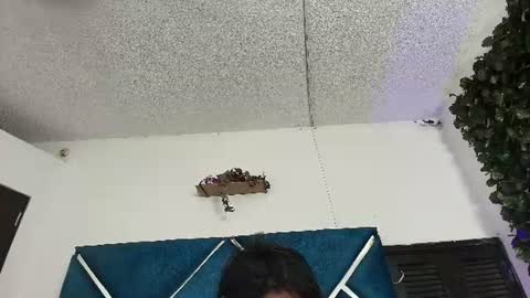 Alexa online show from 06-13-26, 11:24