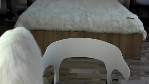 Alex online show from 02-19-26, 04:30