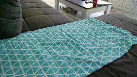 Doggystyle online show from 12-24-24, 11:49