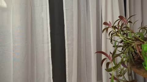 Snapshot of ali500886 chatting on 03-30-26, 05:52 ali500886 online show from 03-30-26, 05:52