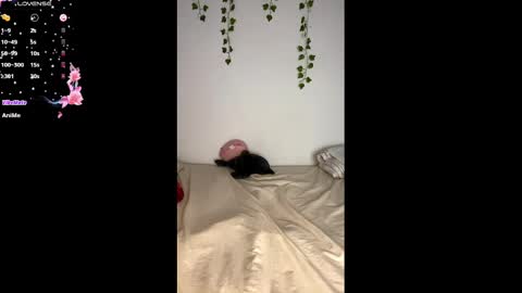 Snapshot of alice_lacroux chatting on 02-25-25, 11:08 Alice online show from 02-25-25, 11:08