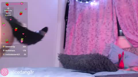 Alice  online show from 12-15-24, 05:13