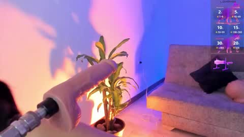 Alicee  online show from 01-16-26, 09:41