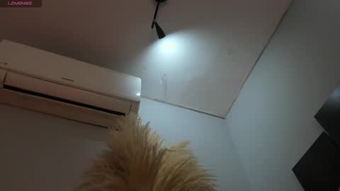 ALICE  online show from 11-25-25, 02:55