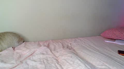 Snapshot of alicerabdit chatting on 07-18-26, 03:49 Alice online show from 07-18-26, 03:49