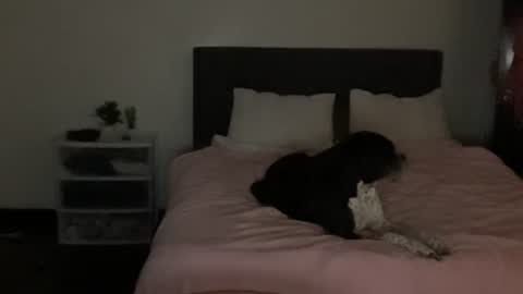 spaceprincess online show from 04-22-26, 05:43