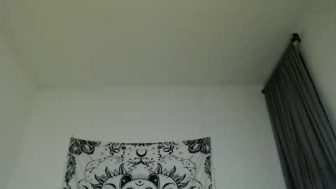 Snapshot of alinawoolf_ chatting on 02-26-25, 05:20 Ali online show from 02-26-25, 05:20