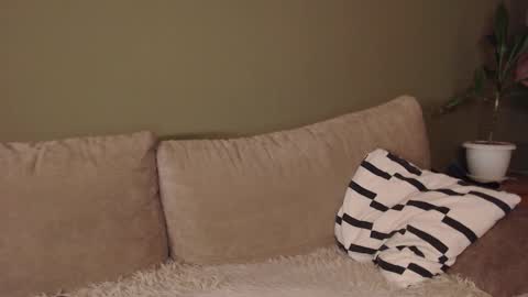 Snapshot of alisaxxxshy chatting on 02-03-26, 06:40 alisaxxxshy online show from 02-03-26, 06:40