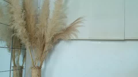 Ali  online show from 05-02-26, 07:30
