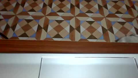 Snapshot of aljeri_022 chatting on 07-30-26, 12:53 Leya online show from 07-30-26, 12:53