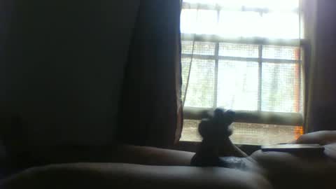 Snapshot of allbermy chatting on 11-11-25, 06:08 allbermy online show from 11-11-25, 06:08