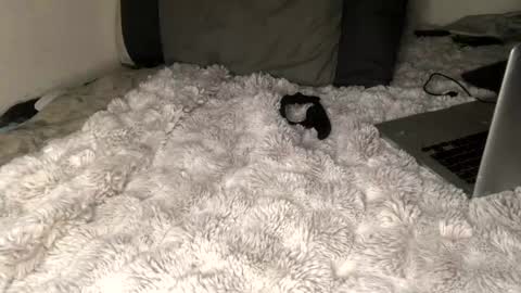 allthewayup10 online show from 03-02-25, 08:38