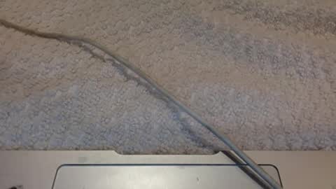 Snapshot of alongwhitedick chatting on 03-12-25, 09:45 ALongwhitedick online show from 03-12-25, 09:45