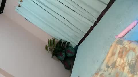 Snapshot of alove_too_last chatting on 02-02-25, 04:43 LEXY online show from 02-02-25, 04:43