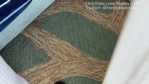 MasterJax69 online show from 10-27-25, 04:00