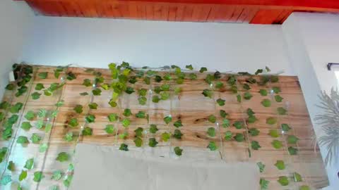 alyssia online show from 02-12-25, 03:38