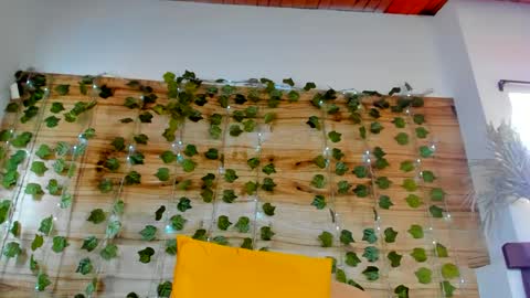 alyssia online show from 02-18-25, 04:26