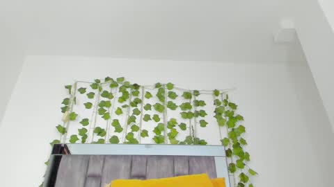 alyssia online show from 09-10-25, 02:06