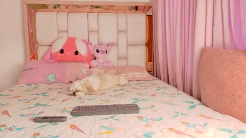   online show from 07-26-26, 11:50