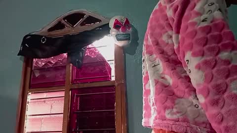 Snapshot of ameli_and_lucas chatting on 11-14-25, 03:44 Amelia Lucas online show from 11-14-25, 03:44