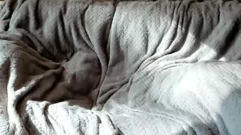 Snapshot of american_horny chatting on 10-24-25, 05:42 Olive  Walter online show from 10-24-25, 05:42