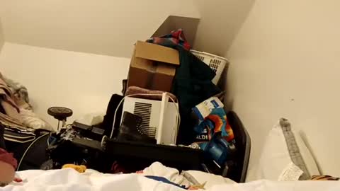 amileamariestar online show from 12-16-24, 07:15