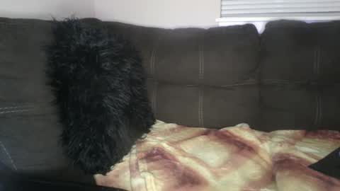 amiri_sweater online show from 02-25-25, 06:36