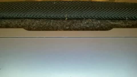 23cm4you online show from 02-11-26, 10:59