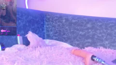 Amy online show from 07-17-26, 08:43